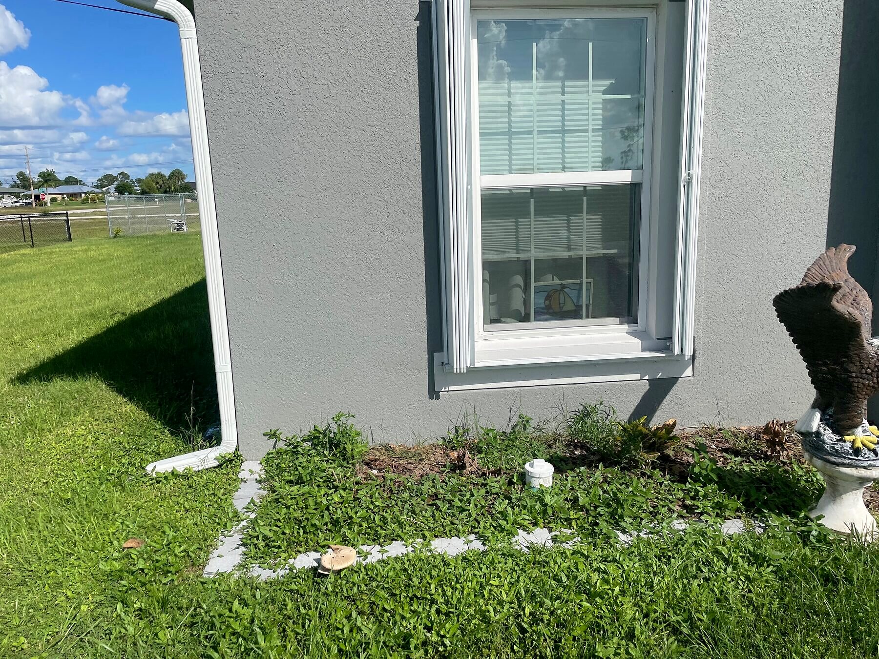 Overgrown beds before landscape cleanup
