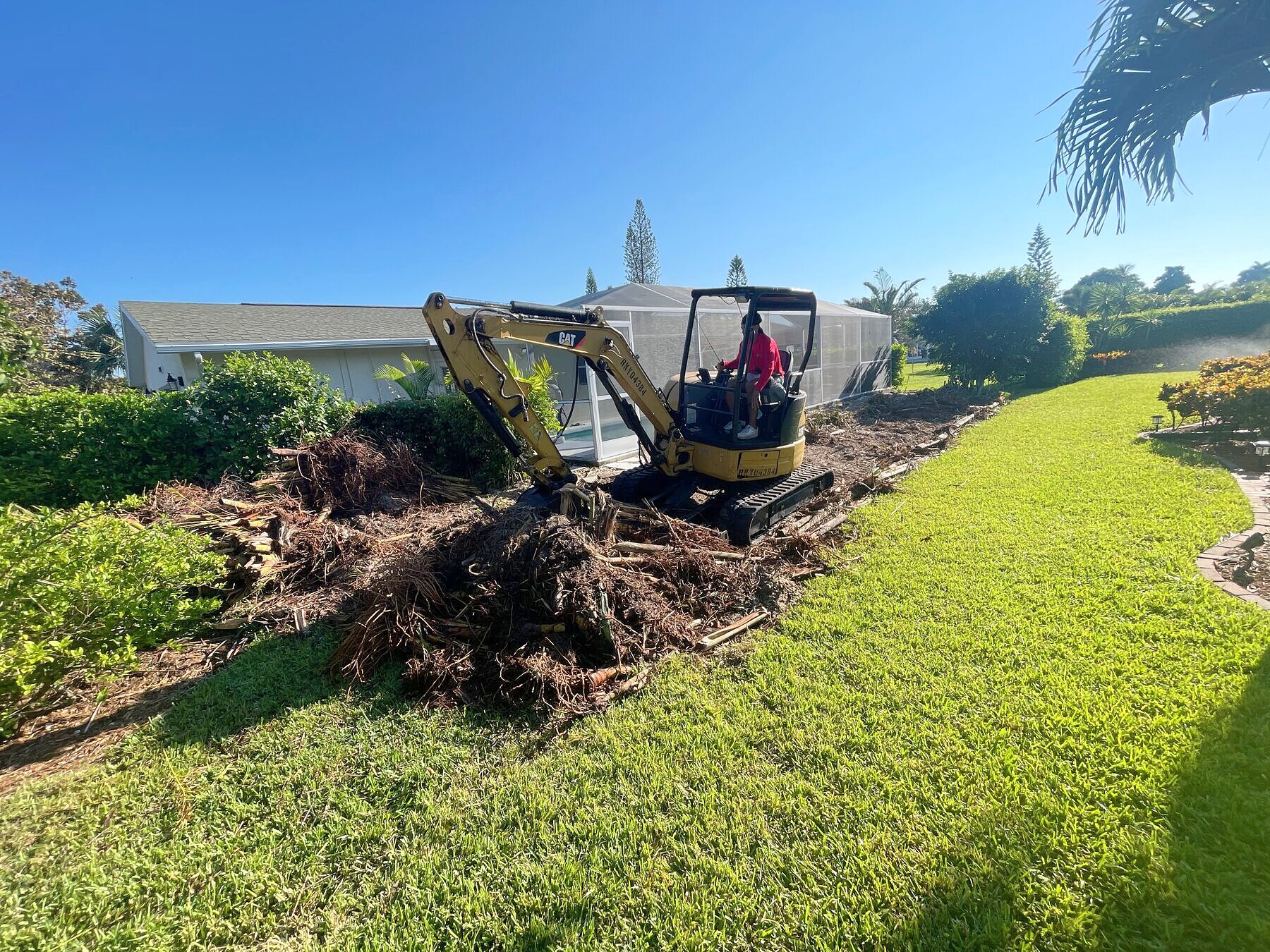 Mini excavator clearing brush for a landscape job