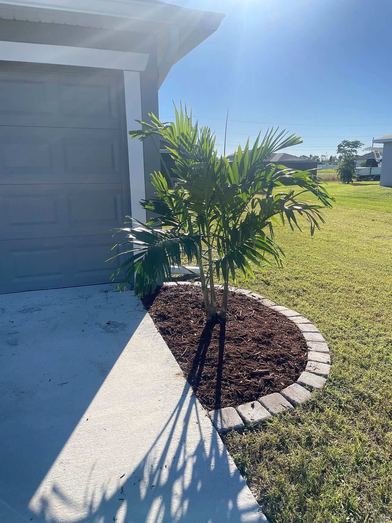 New landscape installation with palms and mulch beds