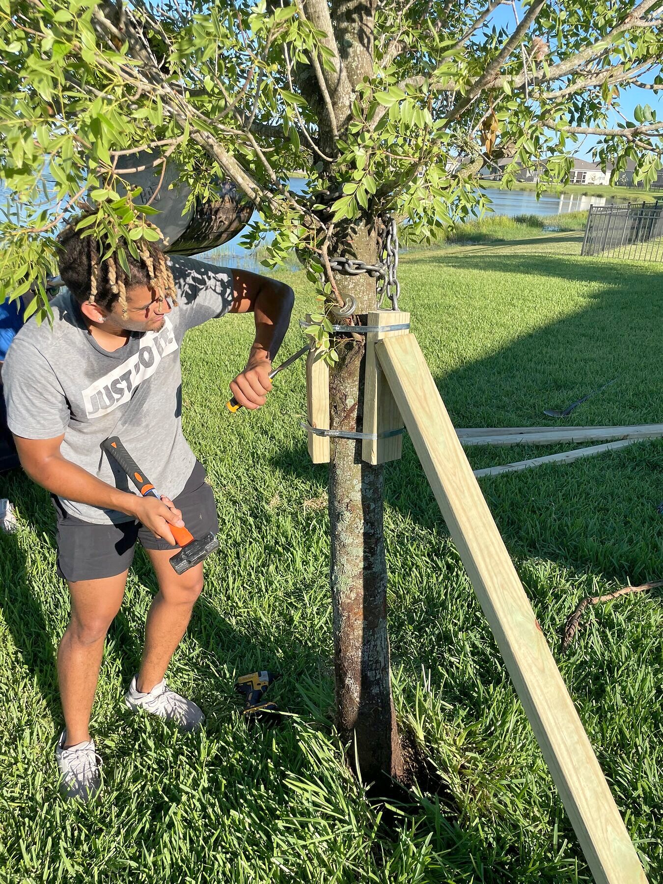 Newly staked tree as part of landscape installation