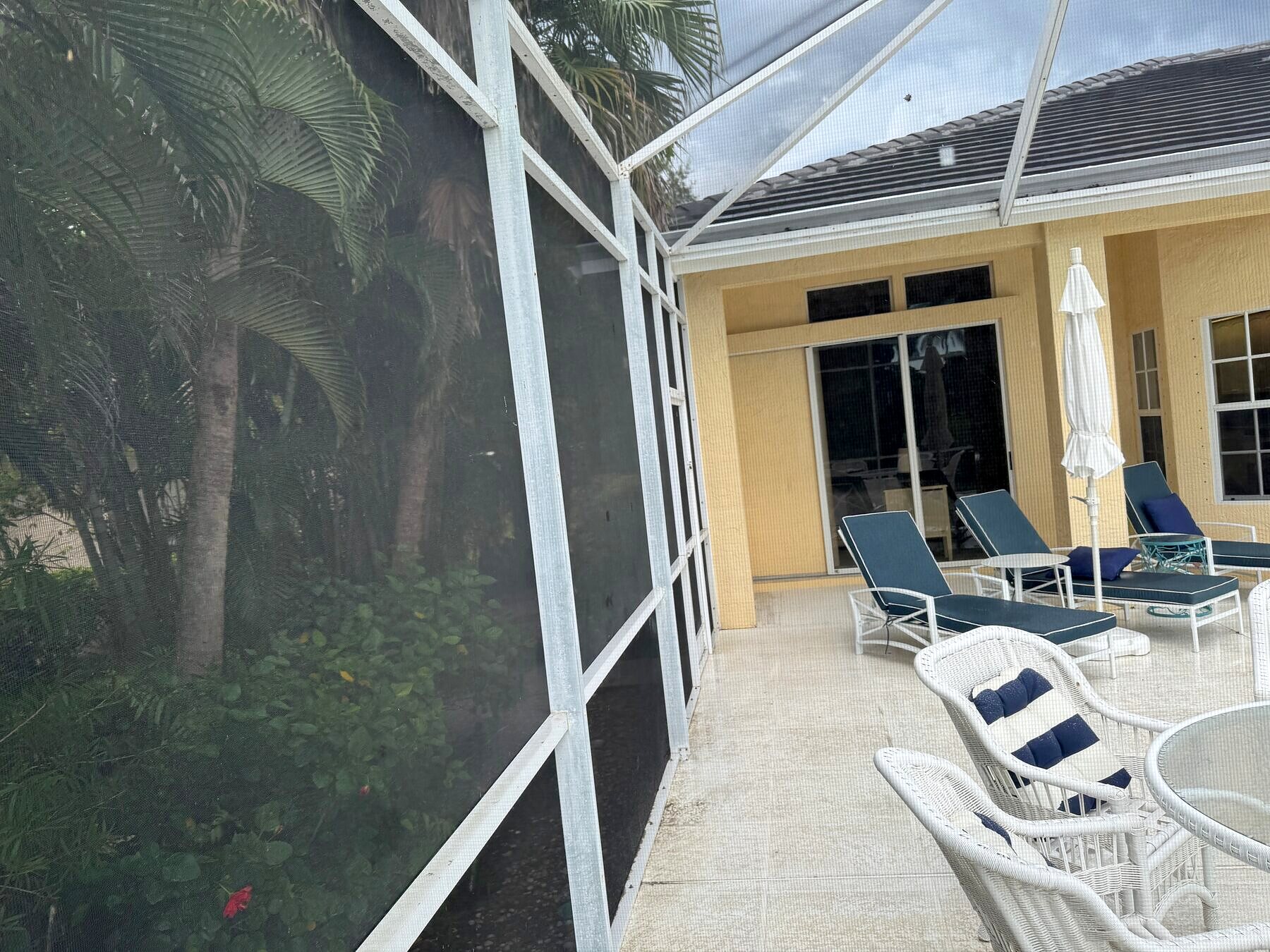 Close detail of pool cage screen mesh